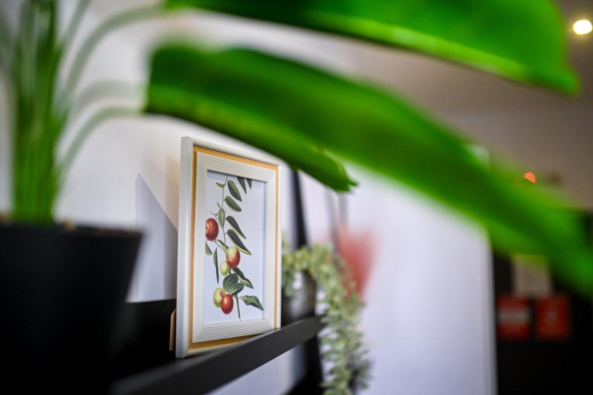 Urban Elegance - Stylish Central Accommodation ブカレスト 部屋 写真